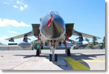 Tornado Luftwaffe-JBG33-Meeting-BA102-Dijon-Longvic-27juin2008-DSC_0093.jpg